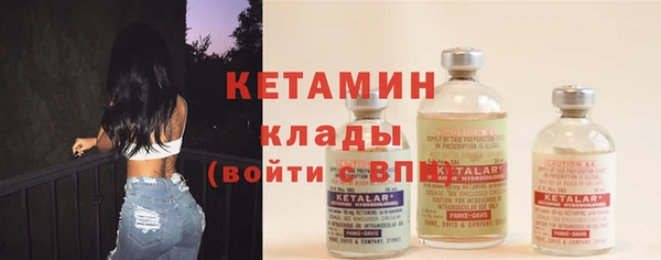 крисы Корсаков