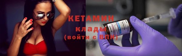 крисы Корсаков