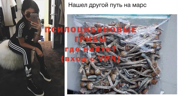 дмт Костерёво