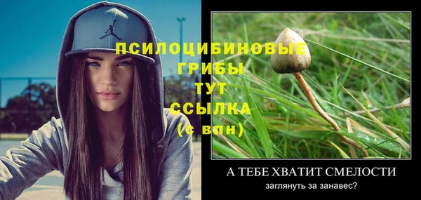 кокс Козловка