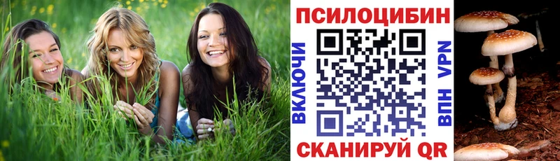Псилоцибиновые грибы Cubensis где можно купить Козловка